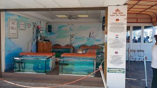 GC-CC Anexo II (Playa Ingles) 2026-028.jpg